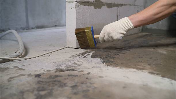 Top rated local Basement Waterproofing specialists in Burlington, KS